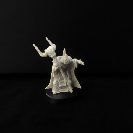Emmerich the seer, cult magister