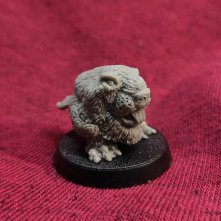 Beaver squig