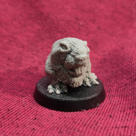 Beaver squig