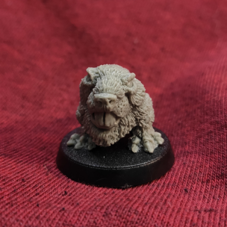 Beaver squig