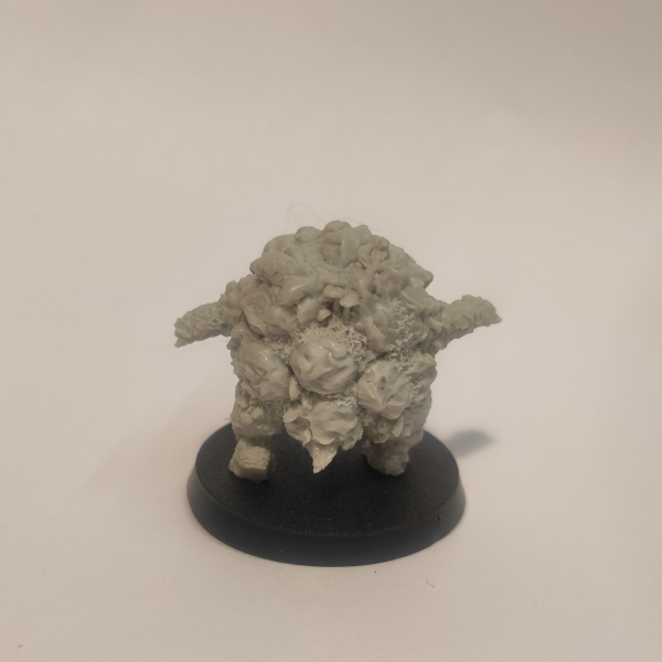 Golem/ Galeb Duhr