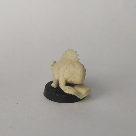 Ichtyoscryptor manulibris