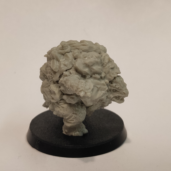 Golem/ Galeb Duhr