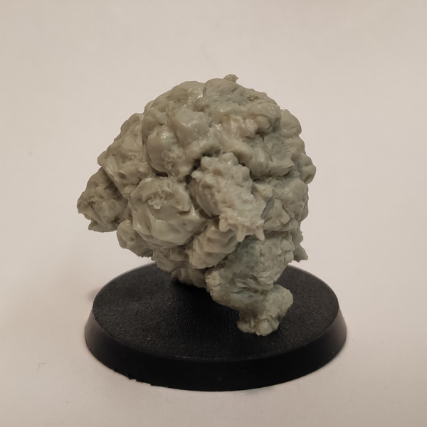 Golem/ Galeb Duhr