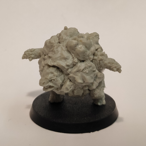 Golem/ Galeb Duhr