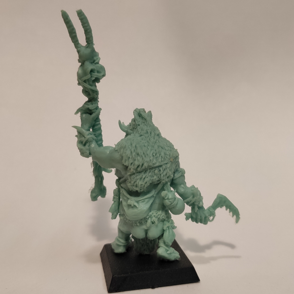 Brok the tama', Orc shaman