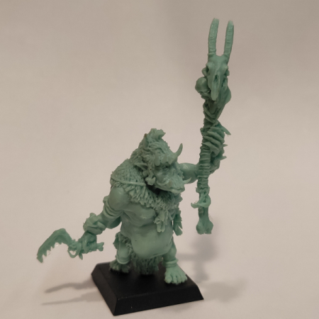 Brok the tama', Orc shaman