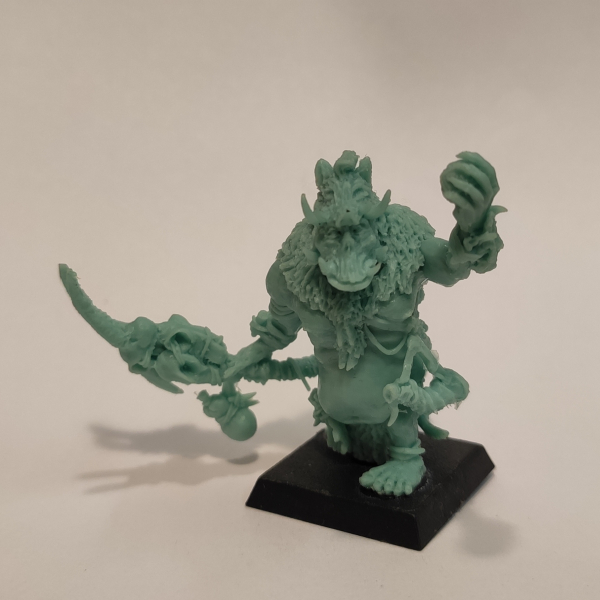 Brok the tama', Orc shaman