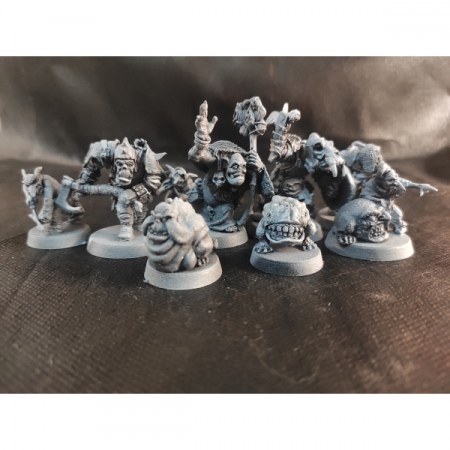 Orc marauders warband