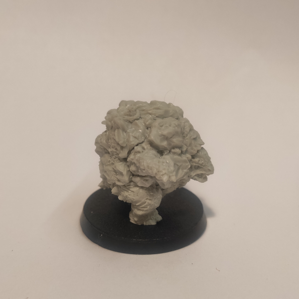 Golem/ Galeb Duhr