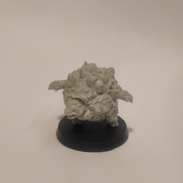 Golem/ Galeb Duhr