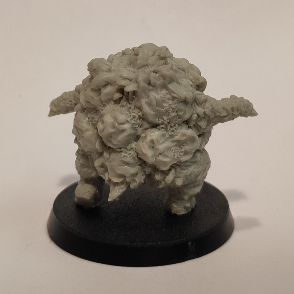 Golem/ Galeb Duhr