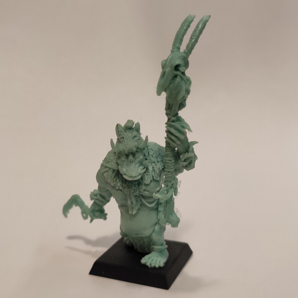 Brok the tama', Orc shaman