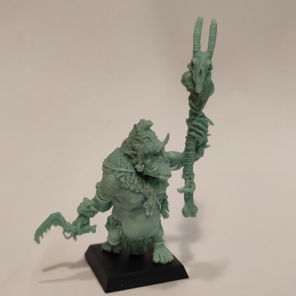 Brok the tama', Orc shaman