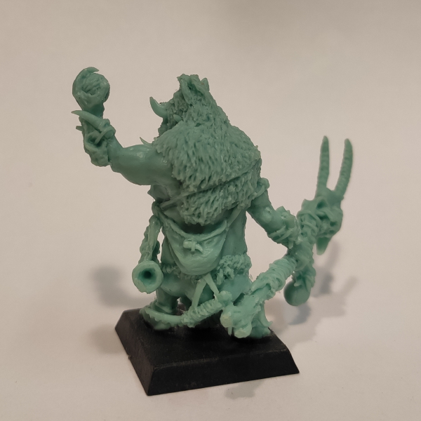 Brok the tama', Orc shaman