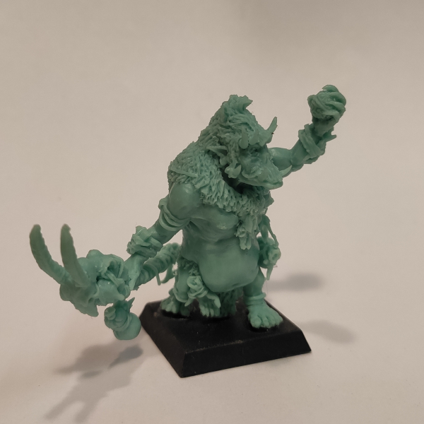 Brok the tama', Orc shaman