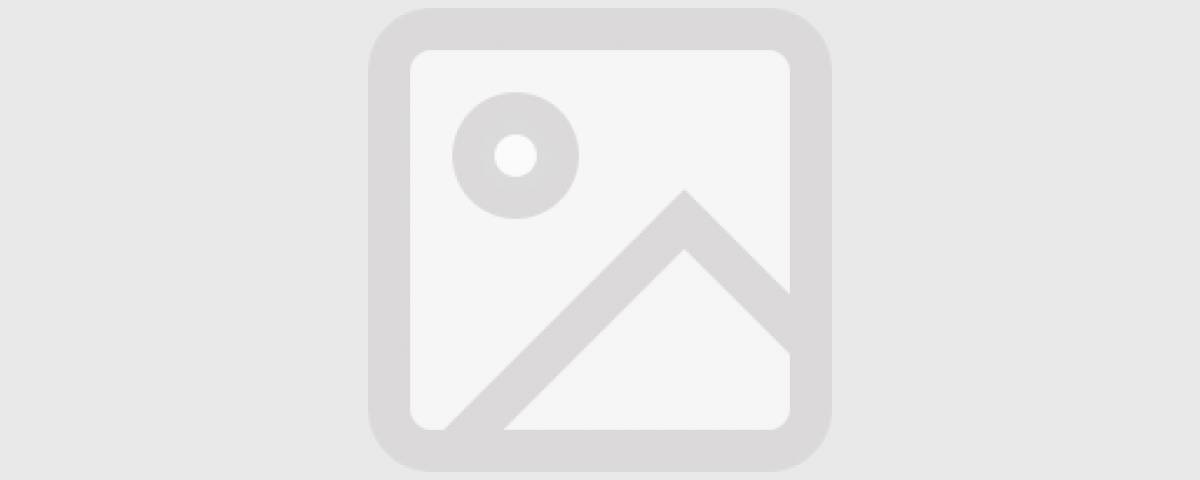 Upcoming festivals and fairs